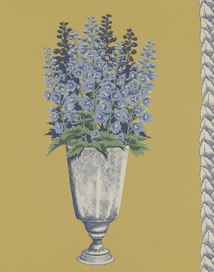 DELPHINIUM, Mustard