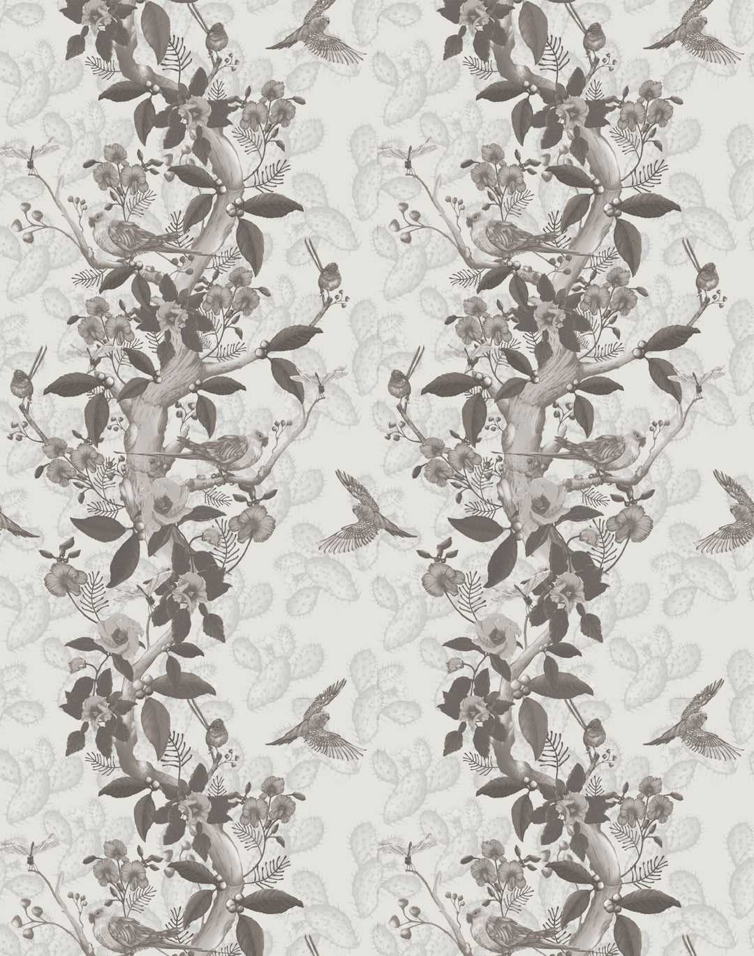 Desert Bloom, Ivory Desert Rose