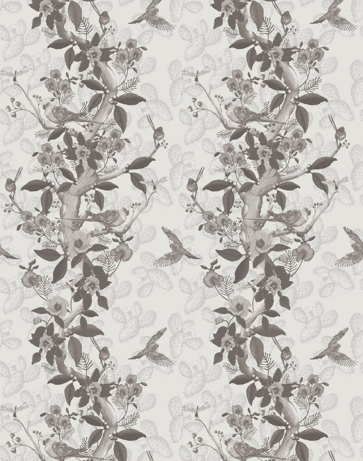 Desert Bloom, Ivory Desert Rose