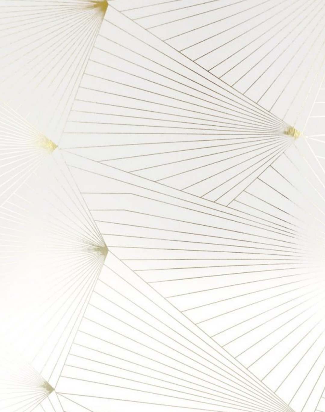 Fan, Gold & White