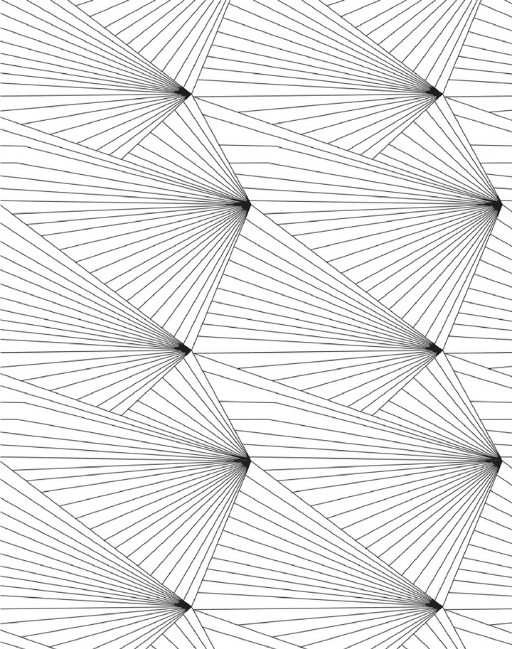 Fan, Black & White