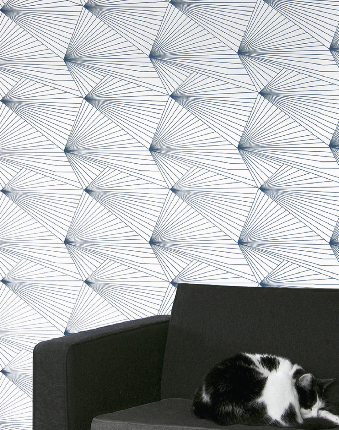 Fan, Navy & White