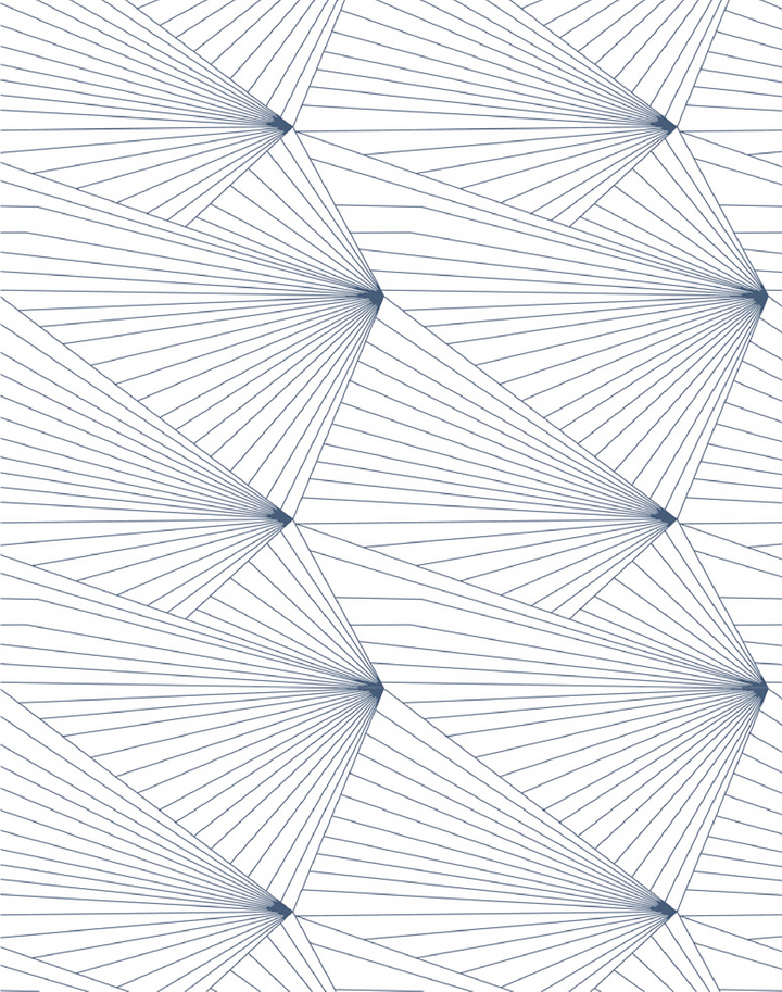 Fan, Navy & White