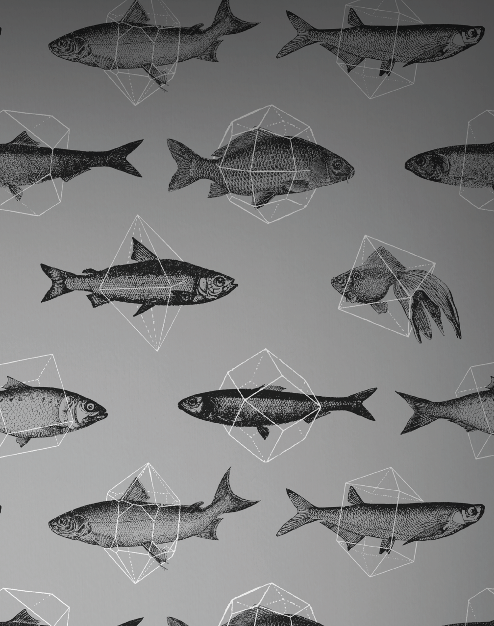 Fishes in Geometrics, Silver