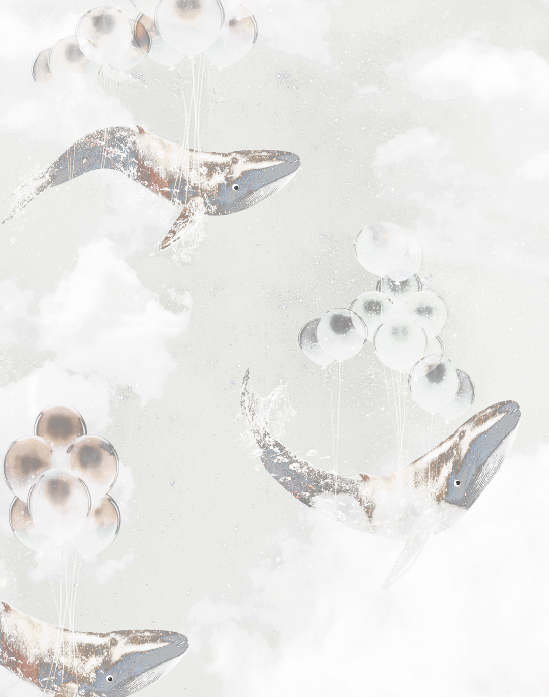 Flying Whales, Stardust