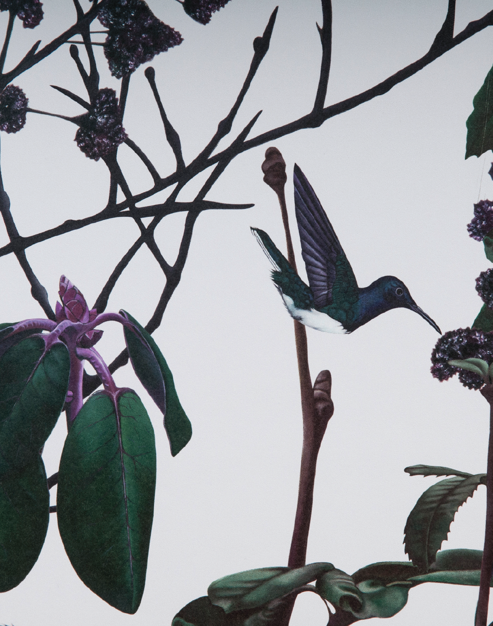 folia wallpaper