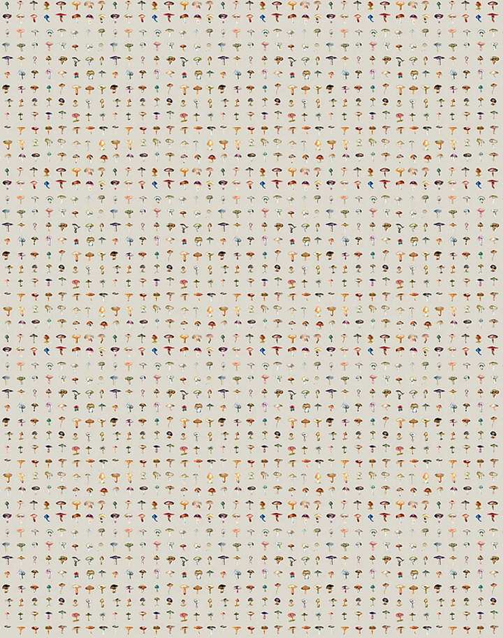 Forager Medium, Stone