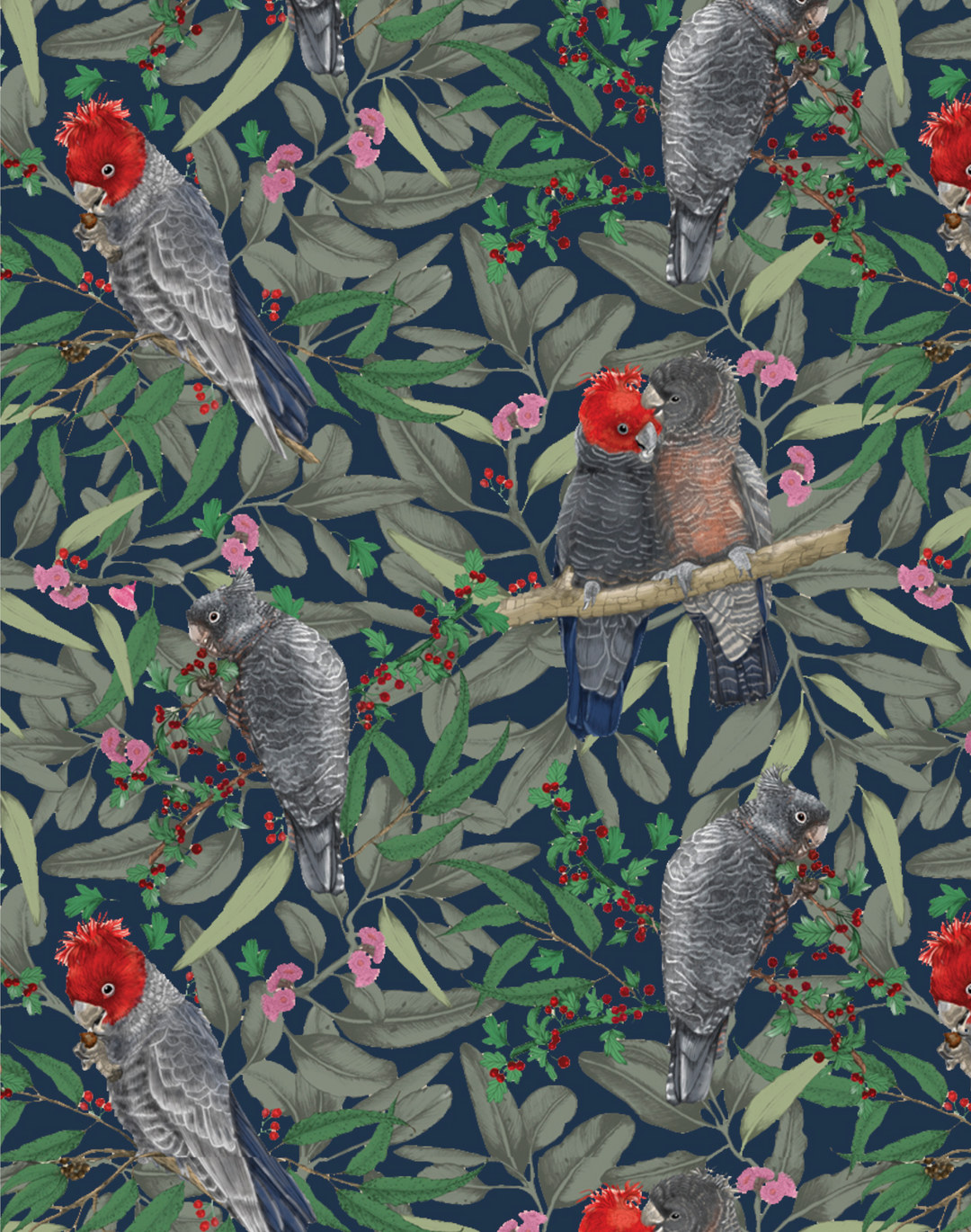 Gang Gang Cockatoo, Red on Navy