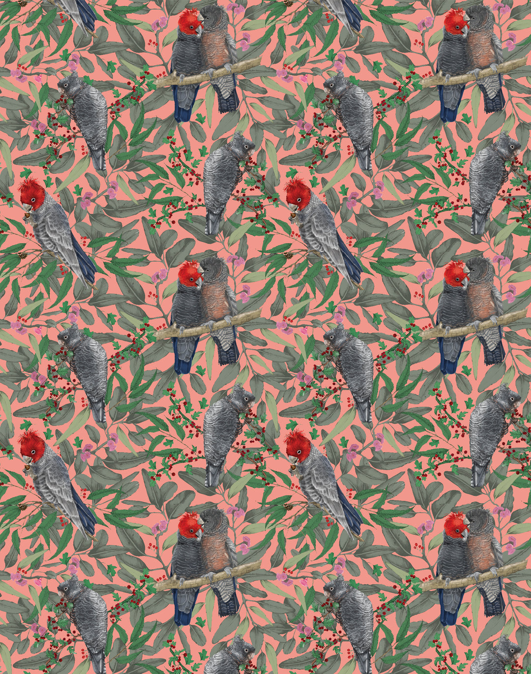Gang Gang Cockatoo, Red & Burnt Pink