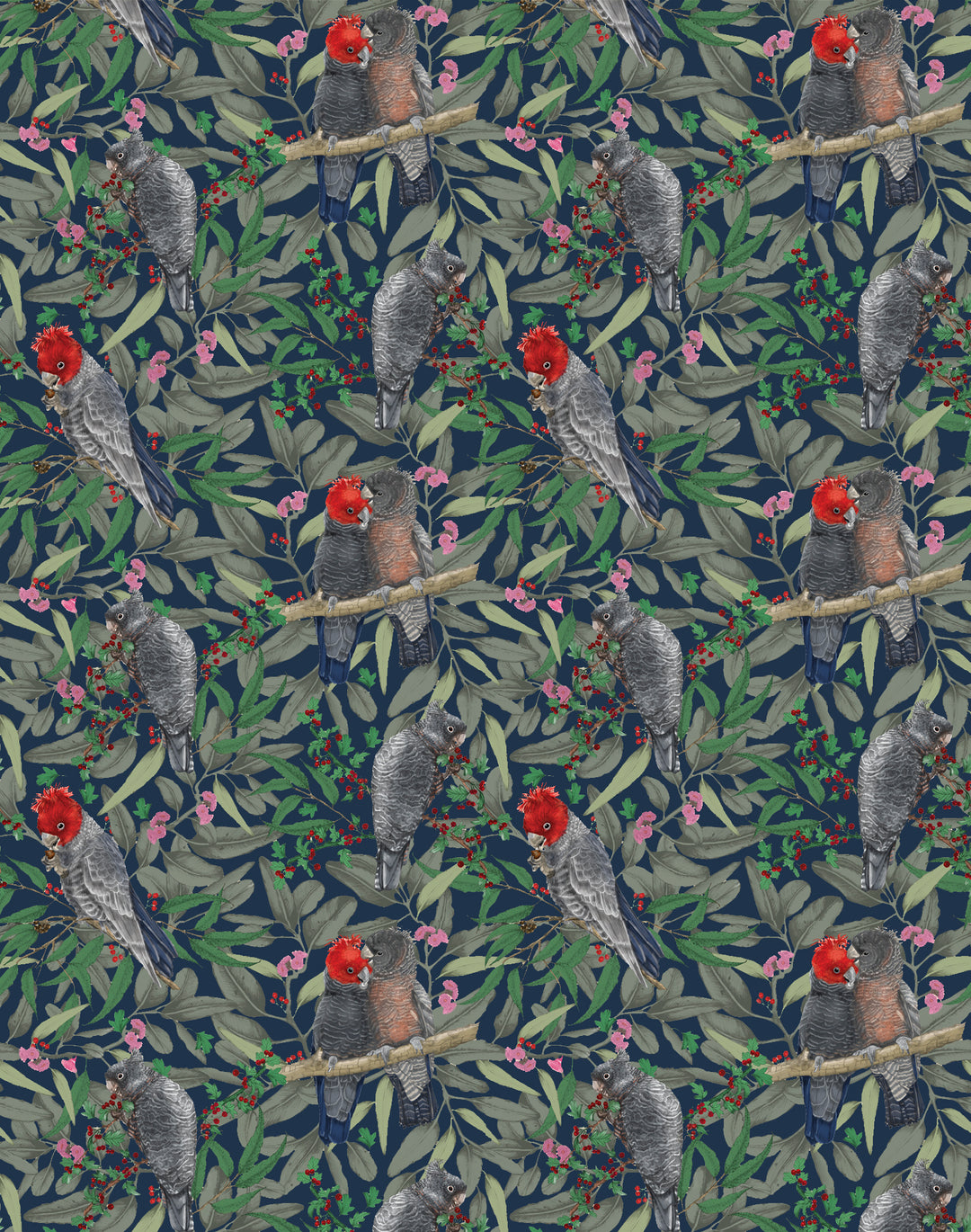 Gang Gang Cockatoo, Red on Navy