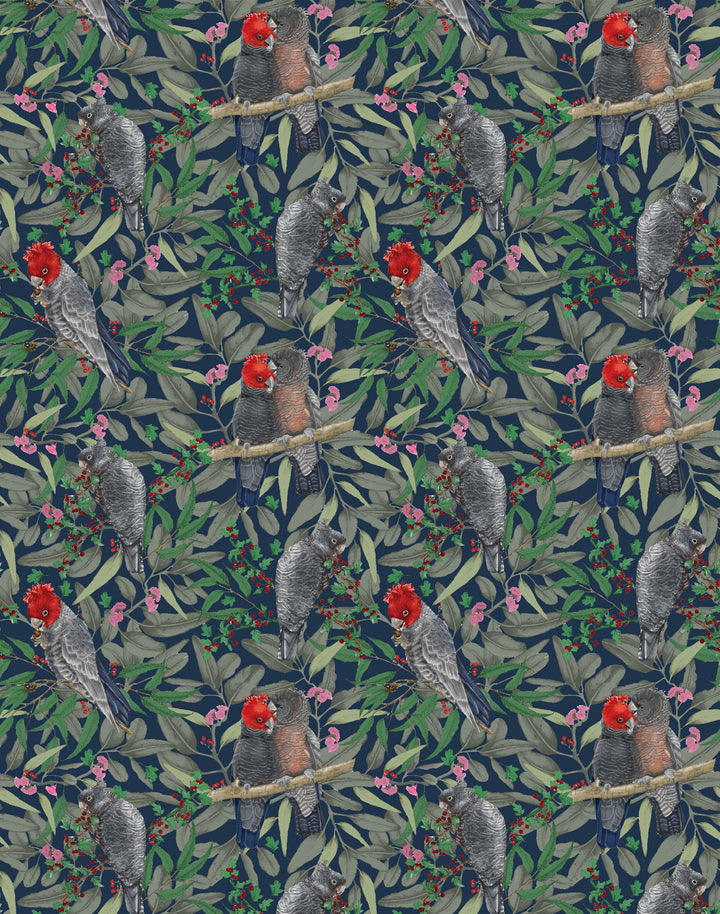 Gang Gang Cockatoo, Red on Navy