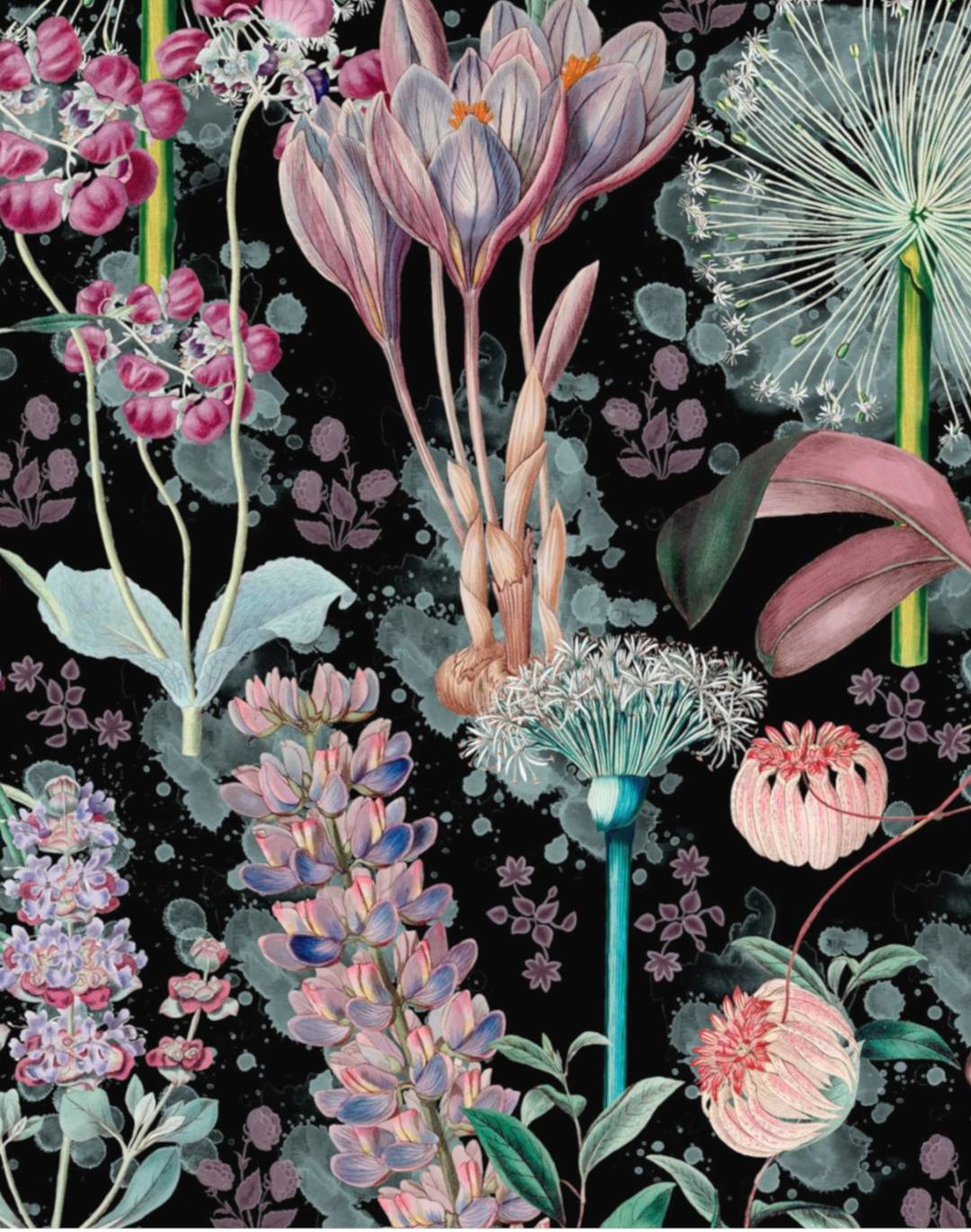 Garden of Eden