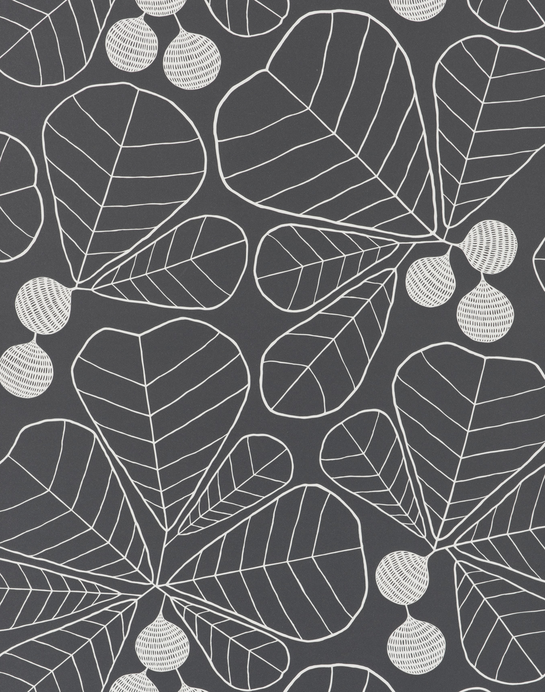 Great Leaf, Blackboard