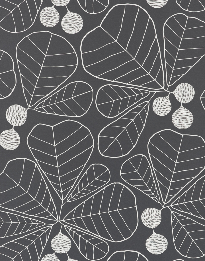 Great Leaf, Blackboard