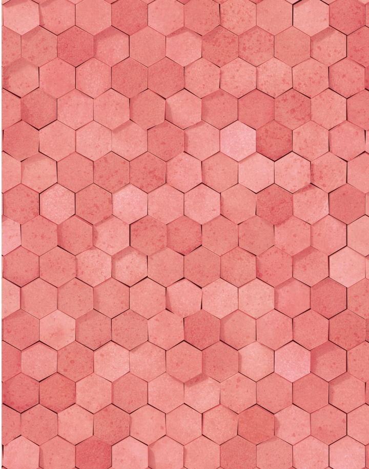 Hex, Terracotta