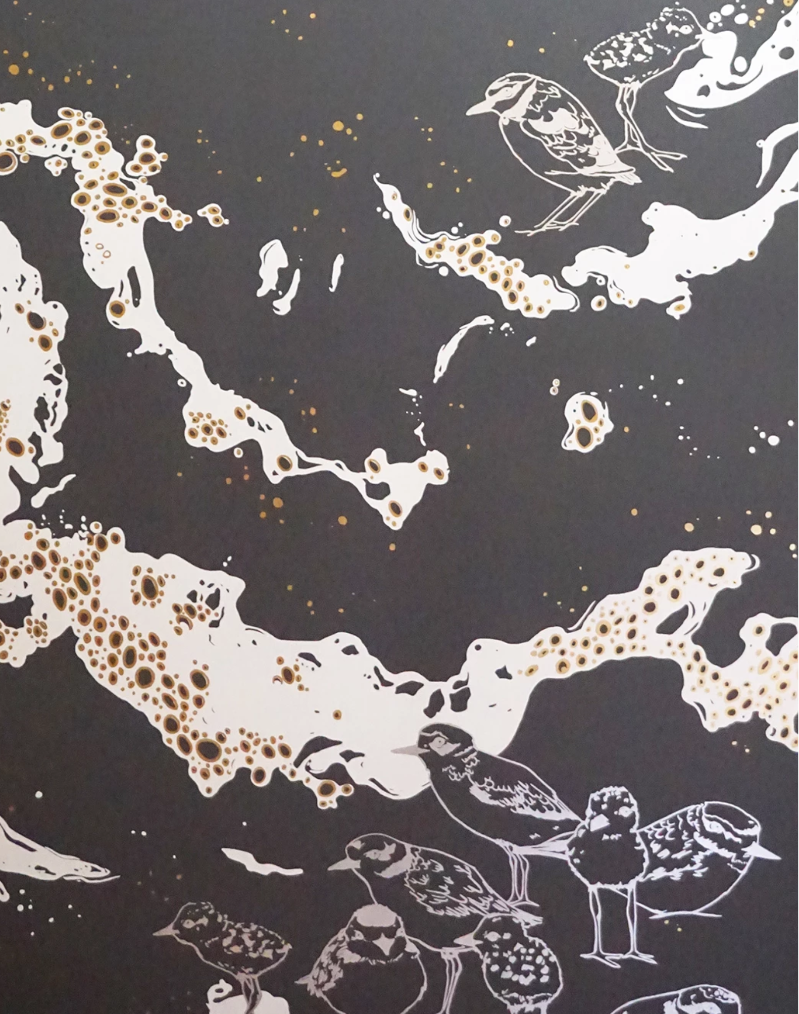 Holly, Dark Shore – The Pattern Collective
