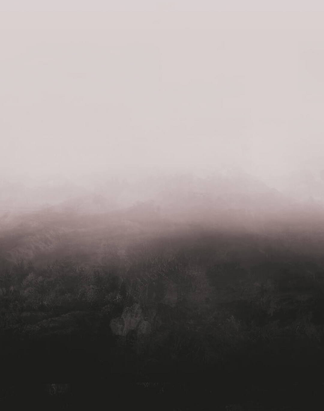 Horizon WPLC0196
