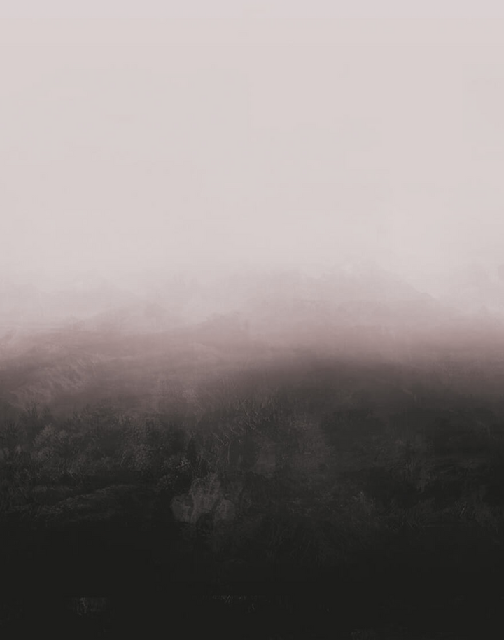 Horizon WPLC0196