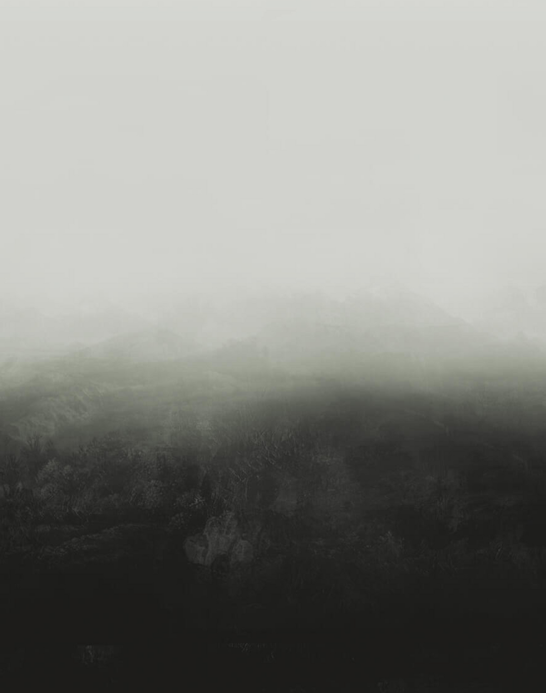 Horizon WPLC0198