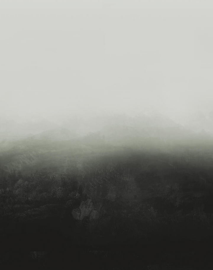 Horizon WPLC0198