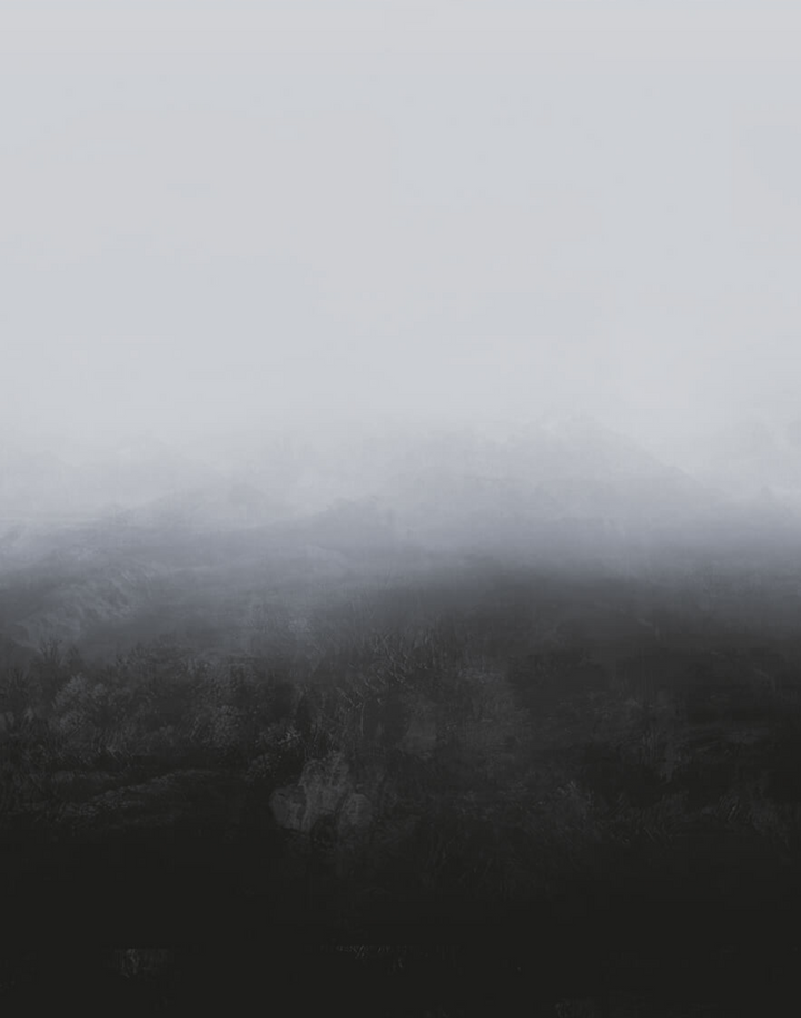 Horizon WPLC0199