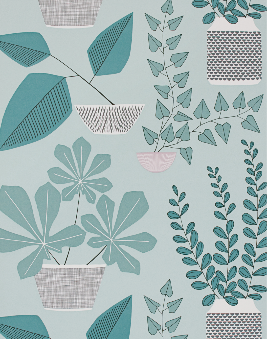 House Plants, Marina