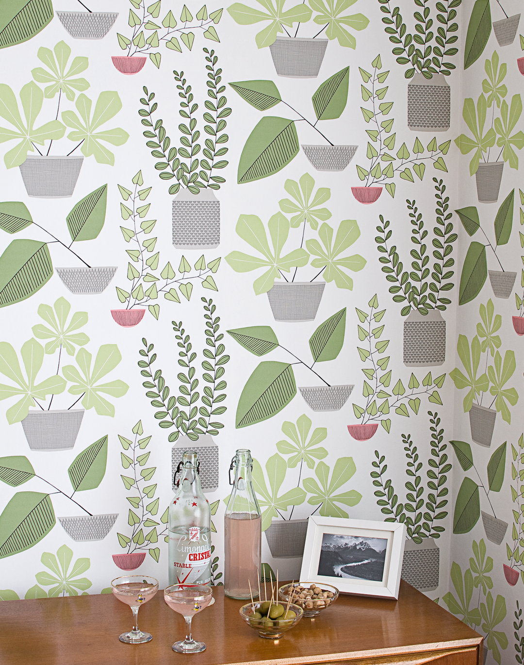 House Plants, Marina