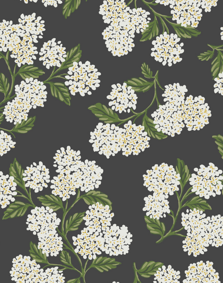 Hydrangea, Black & White RI5146