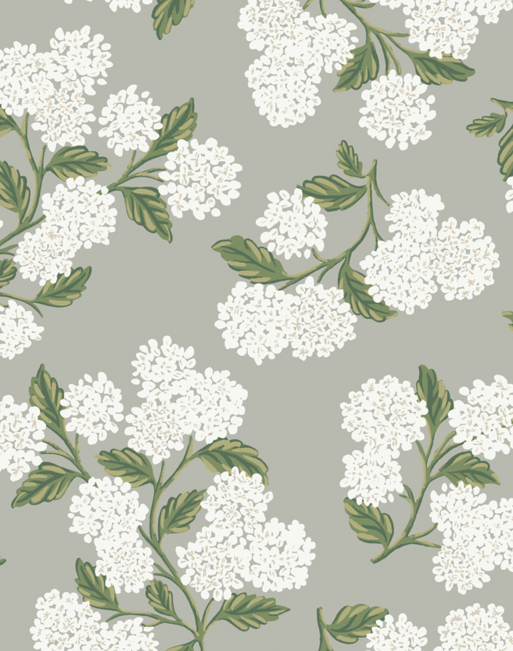 Hydrangea, Grey RI5144