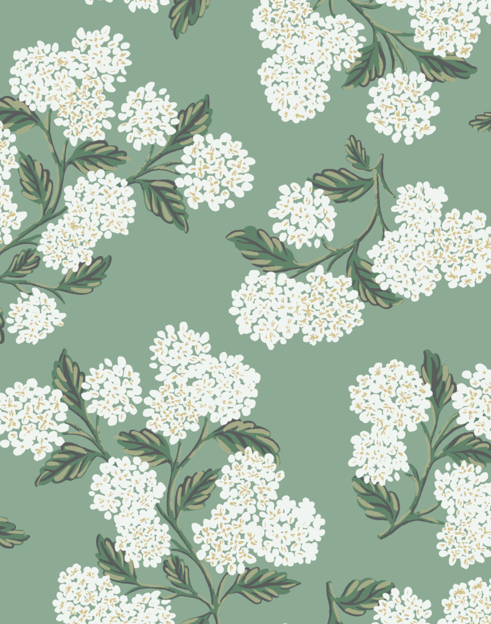 HydrangeaJade_RiflePaperCo_The