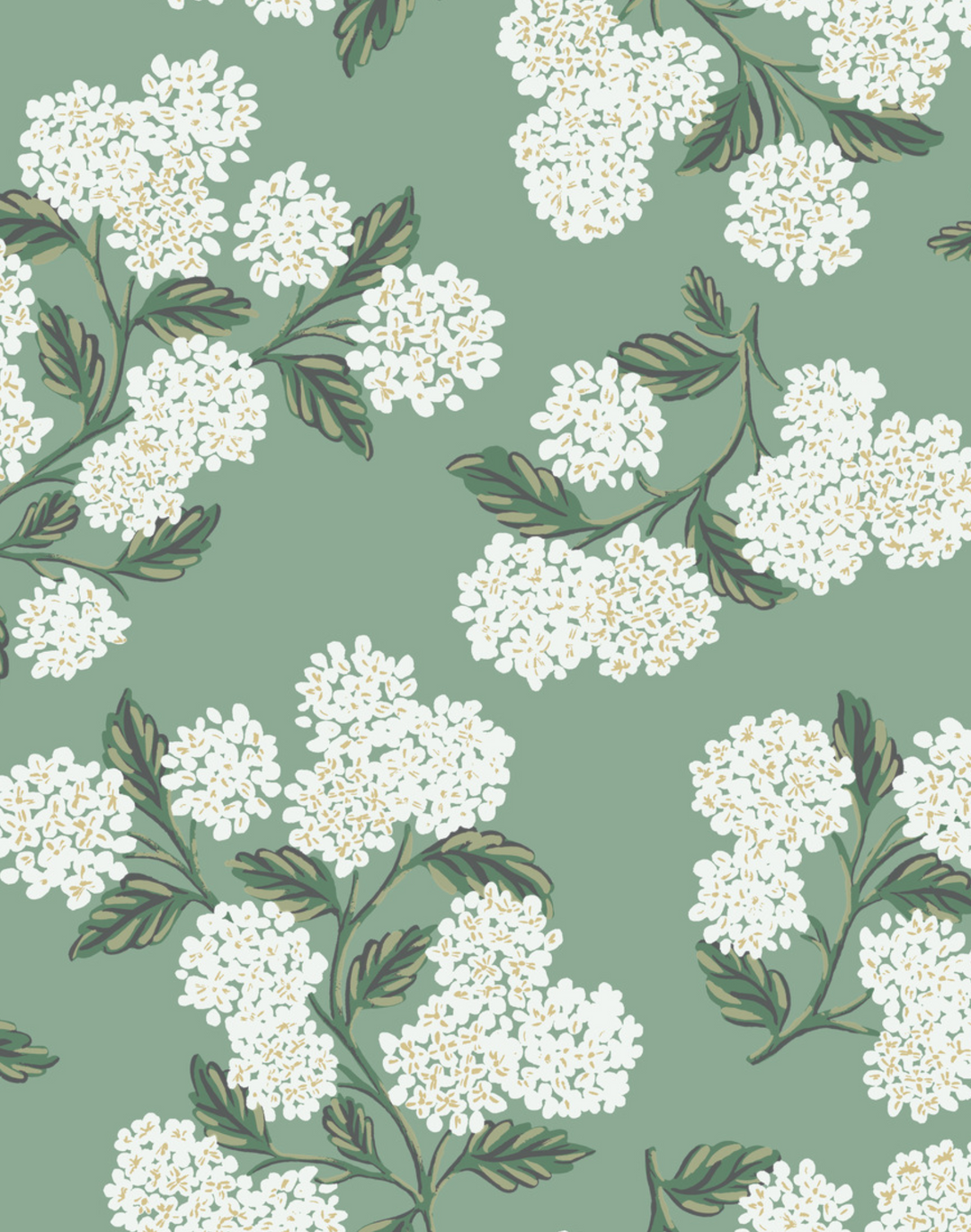 Hydrangea, Jade RI5145