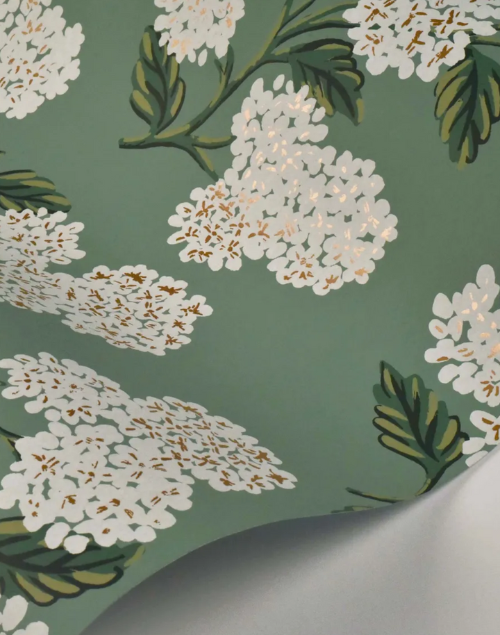 Hydrangea, Jade RI5145