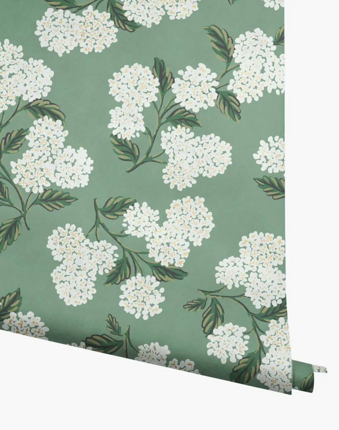 Hydrangea, Jade RI5145