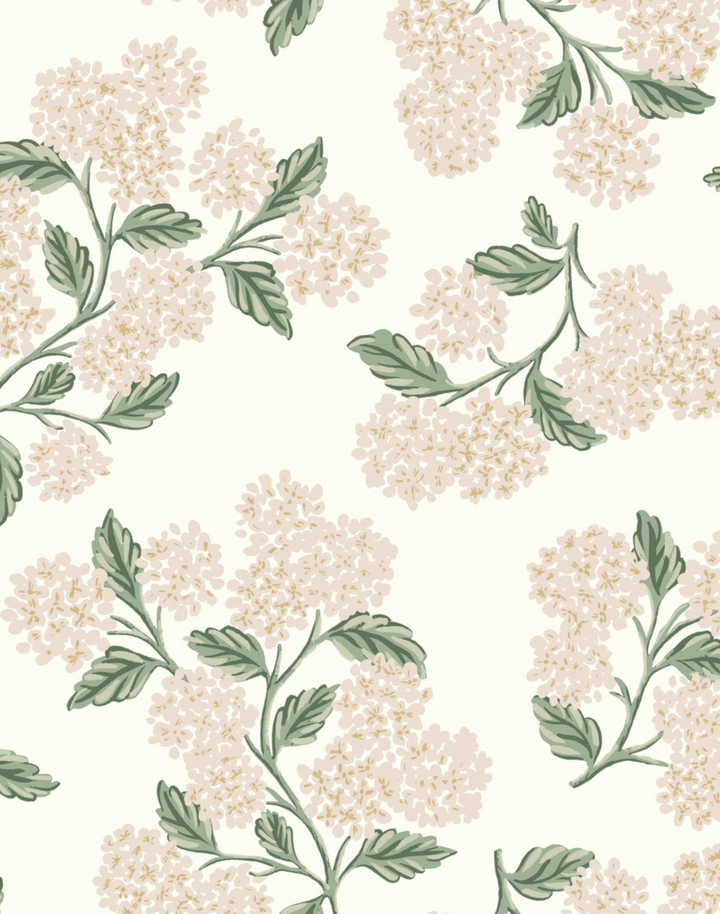 Hydrangea, White & Blush RP7393