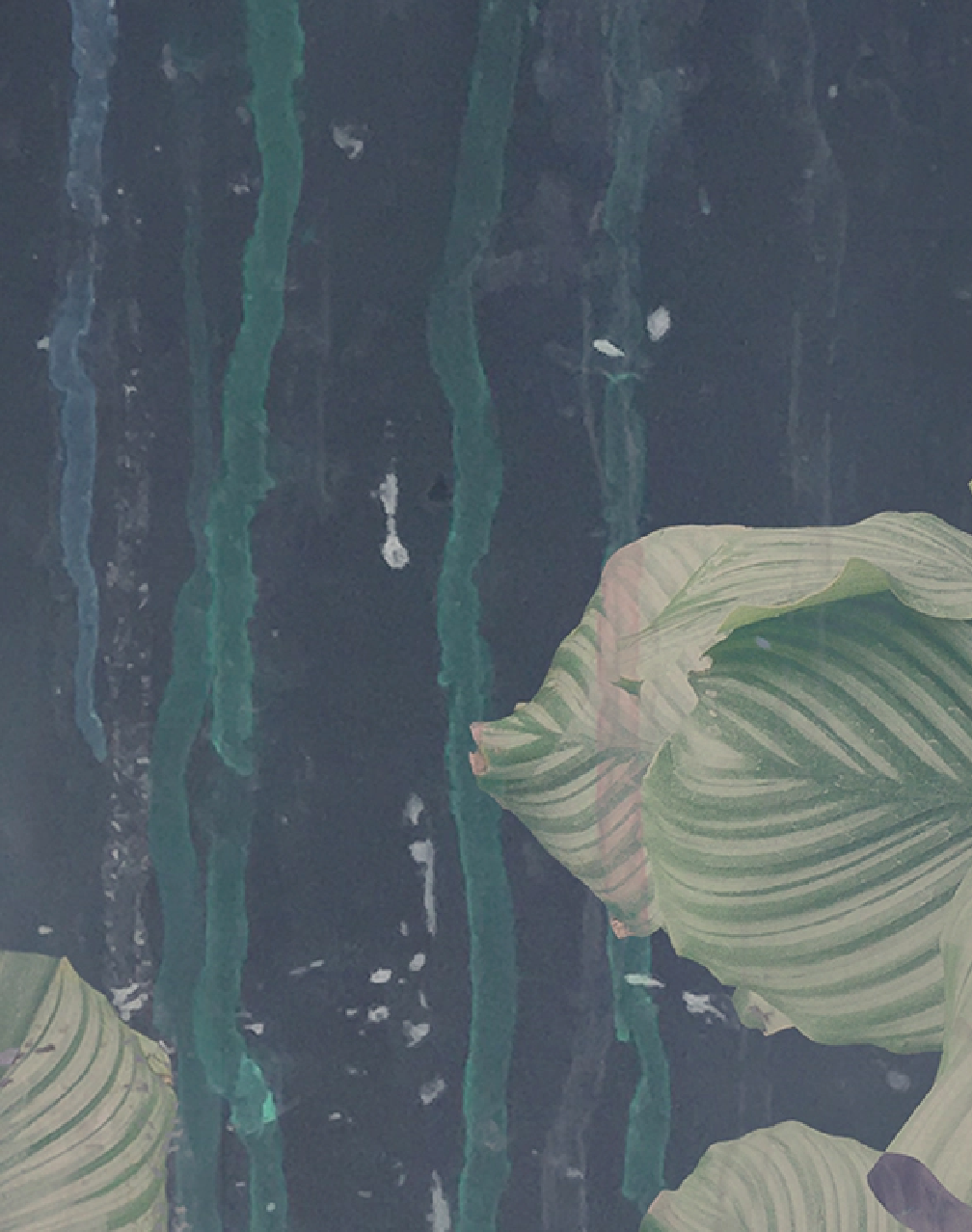 Issey - Nymph of the Waters, Green