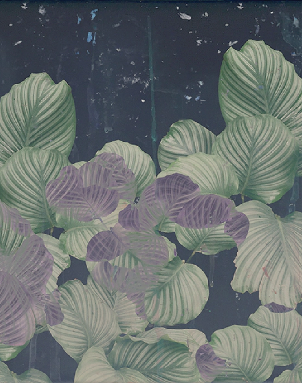 Issey - Nymph of the Waters, Green