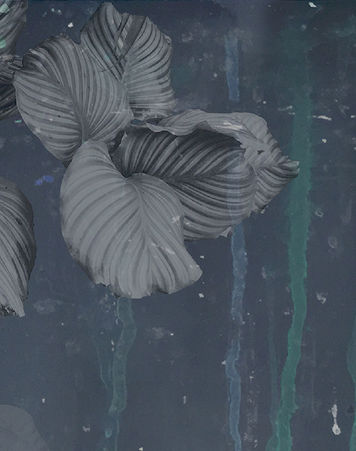 Issey - Nymph of the Waters, Grey