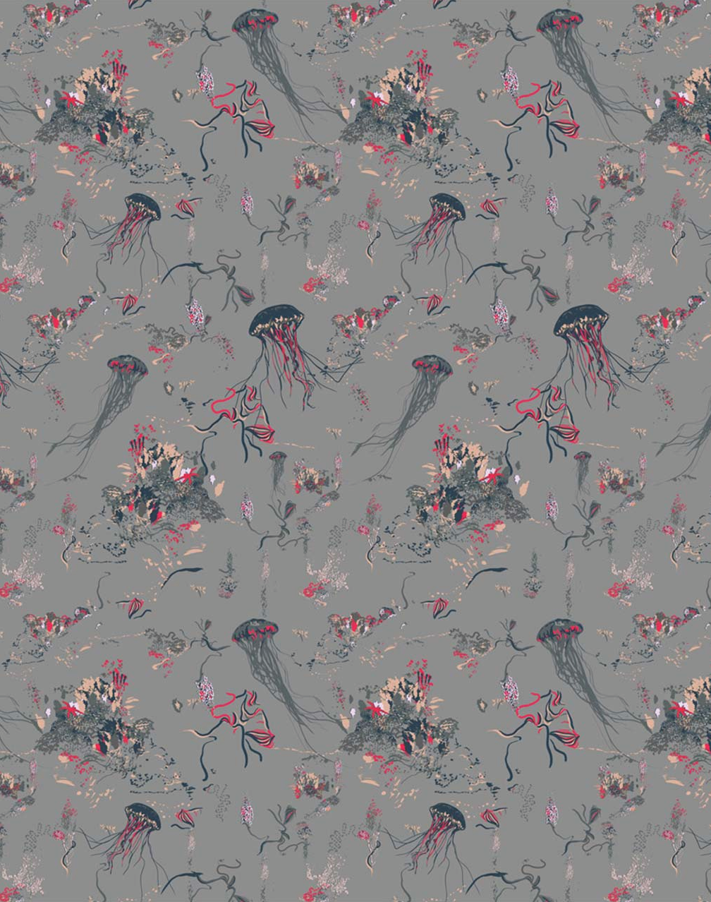 Jellyfish, Grey