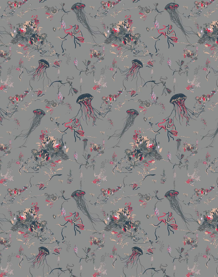 Jellyfish, Grey