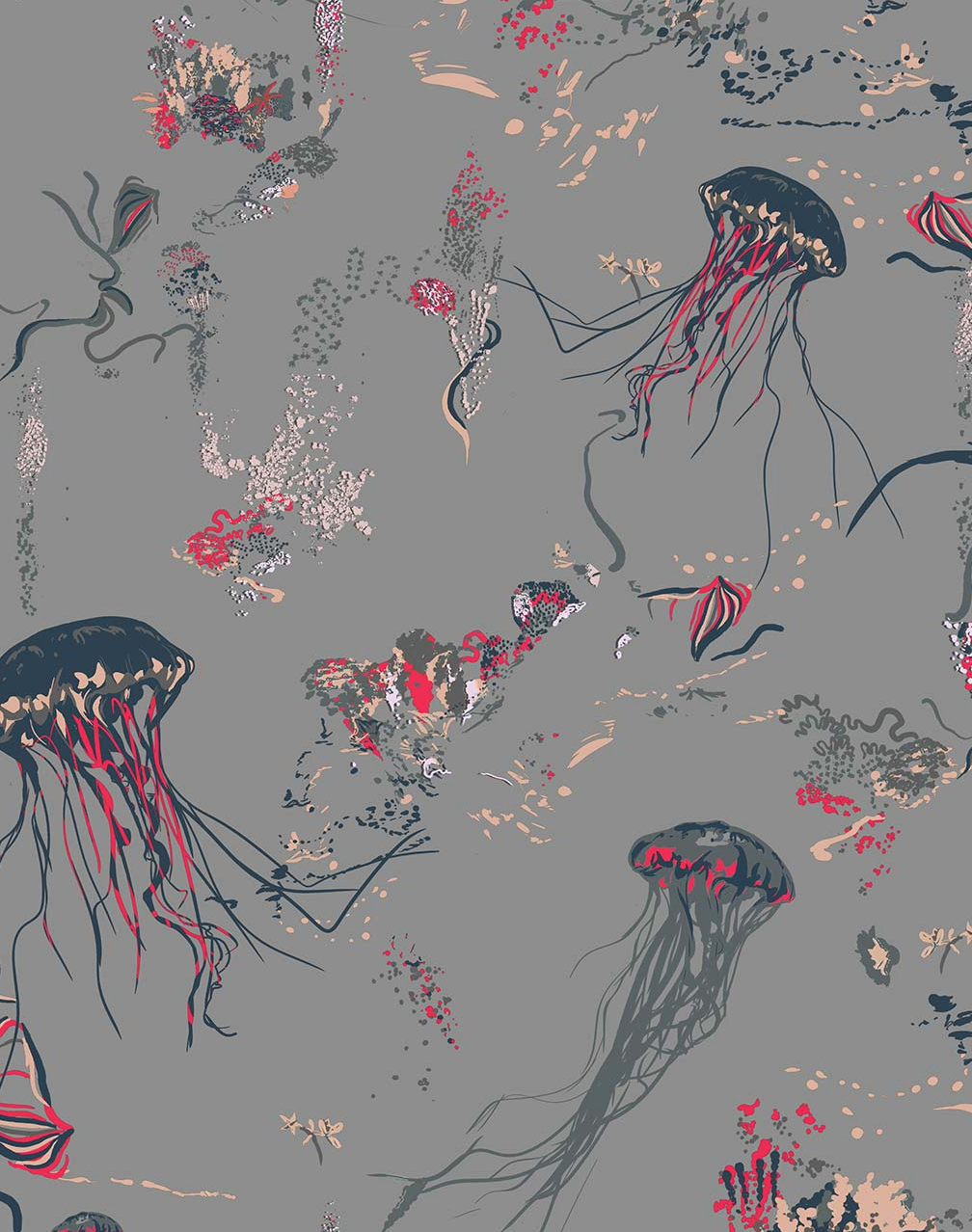 Jellyfish, Grey