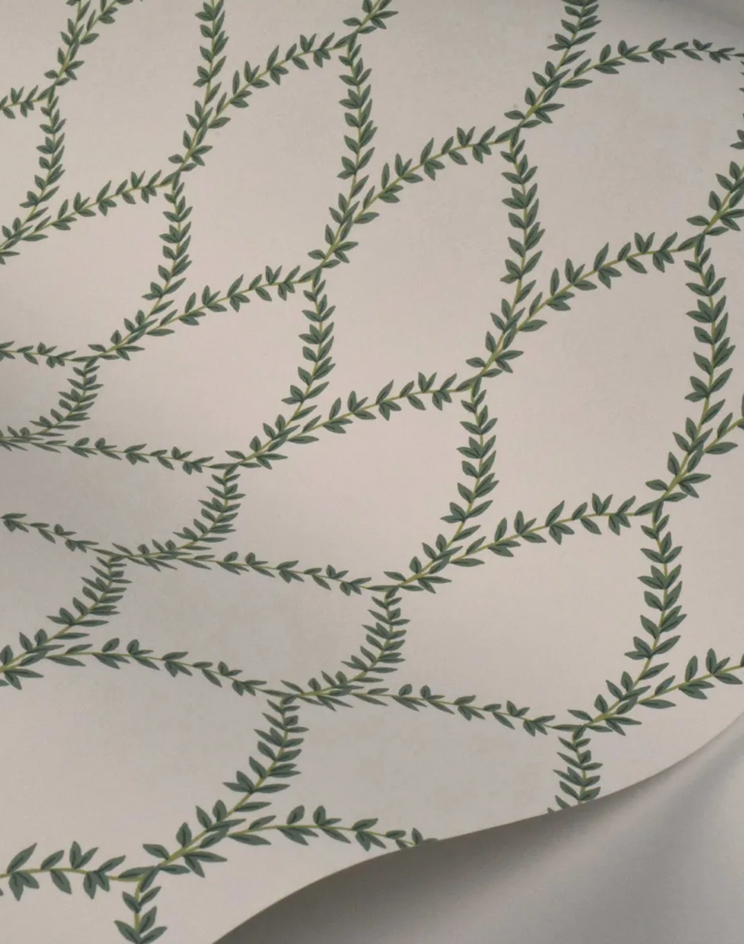 Laurel, Green & White RI5178