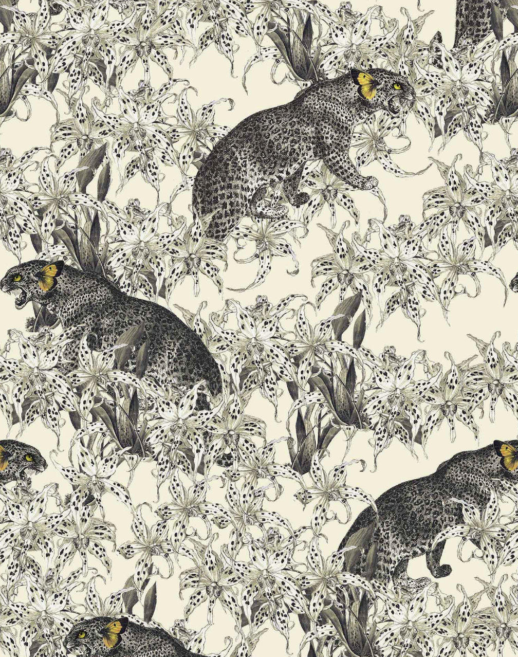 Leopard's Prowl, Cumin