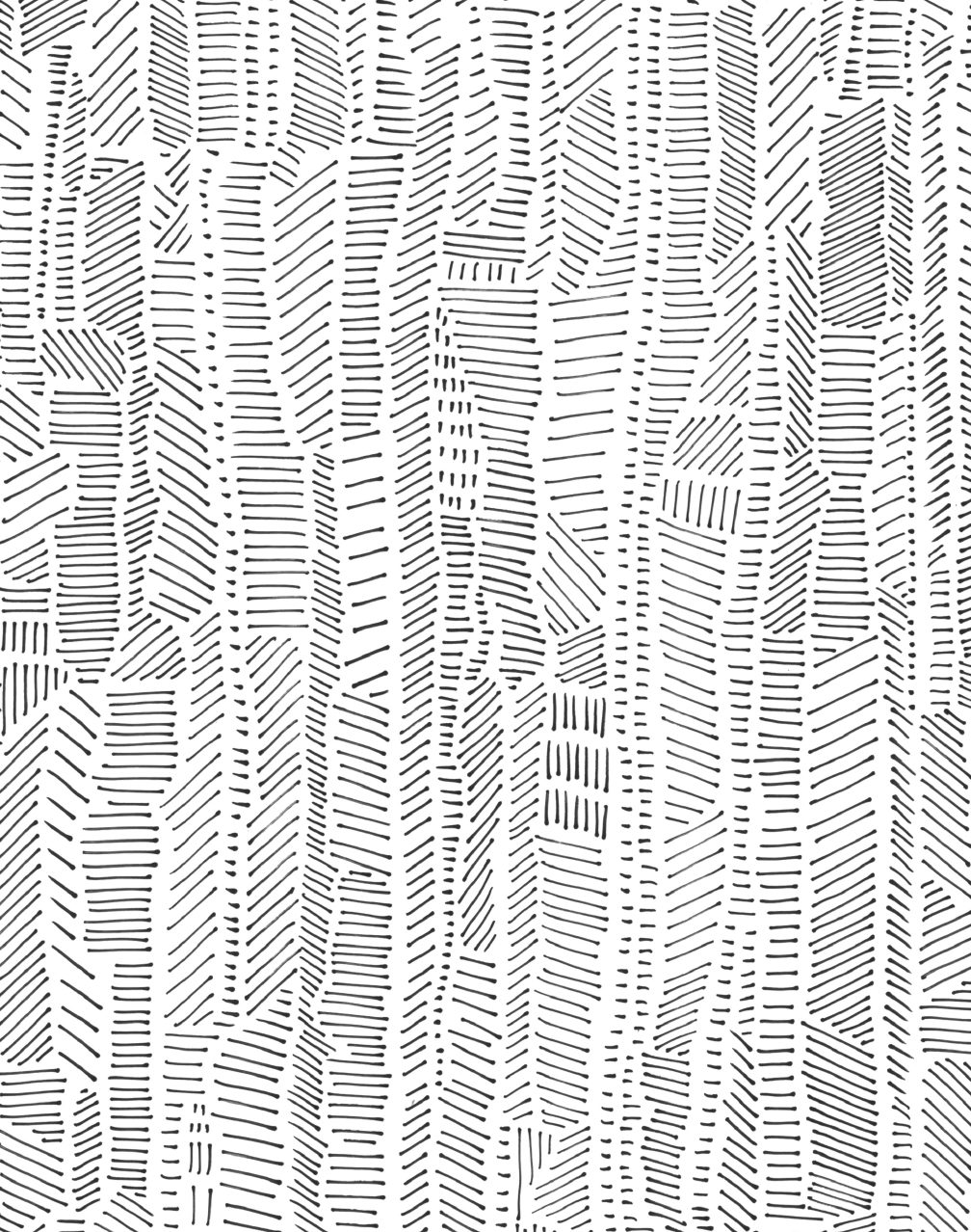 Linear Field, Black & White