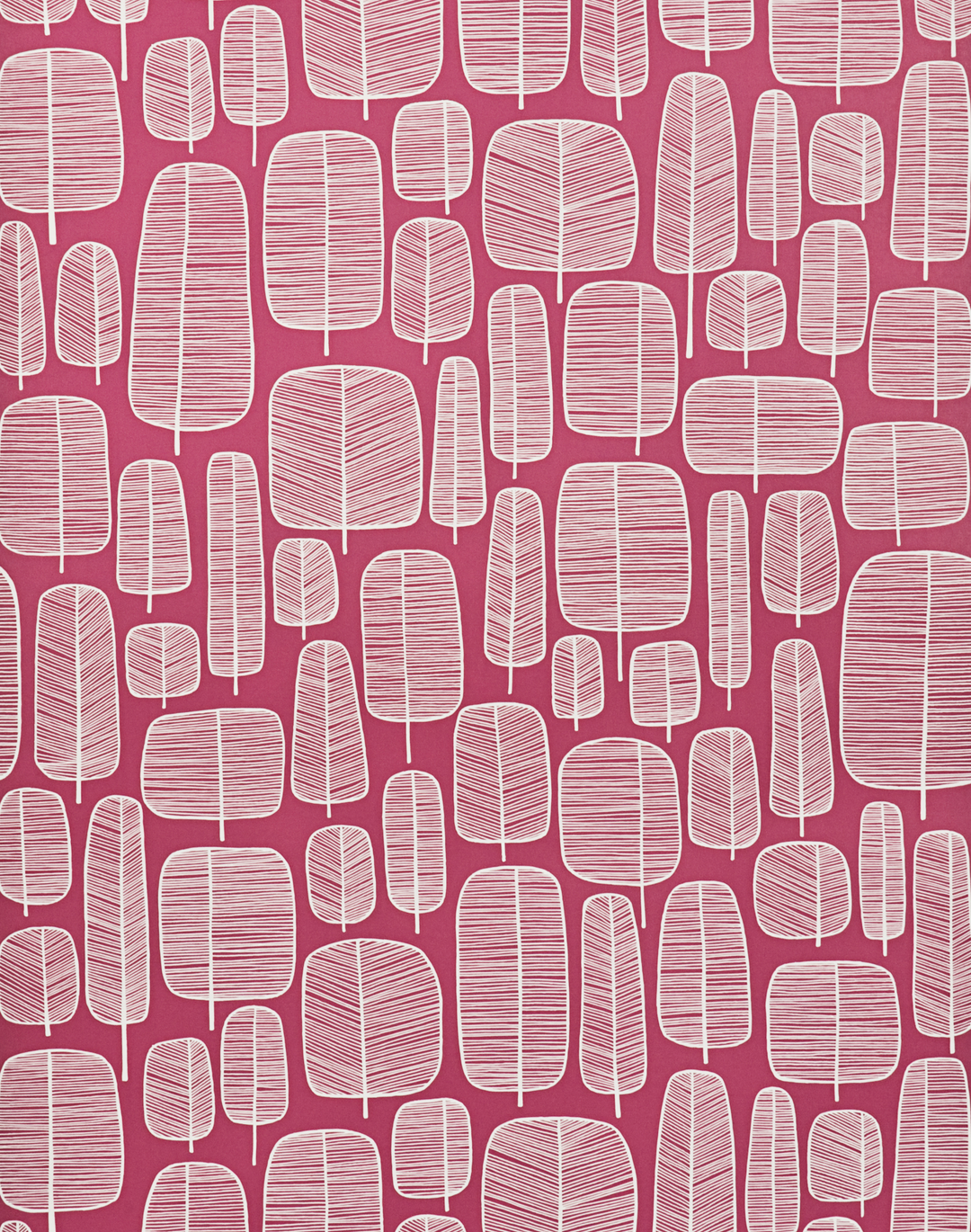 Little Trees, Fuchsia