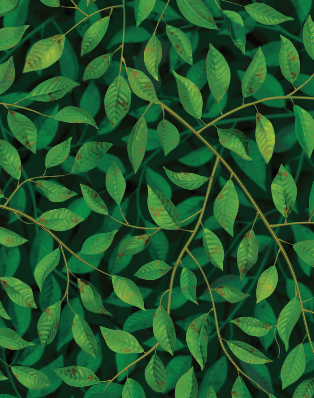 Green Leaves Gap Seamless Pattern Repeated · Creative Fabrica