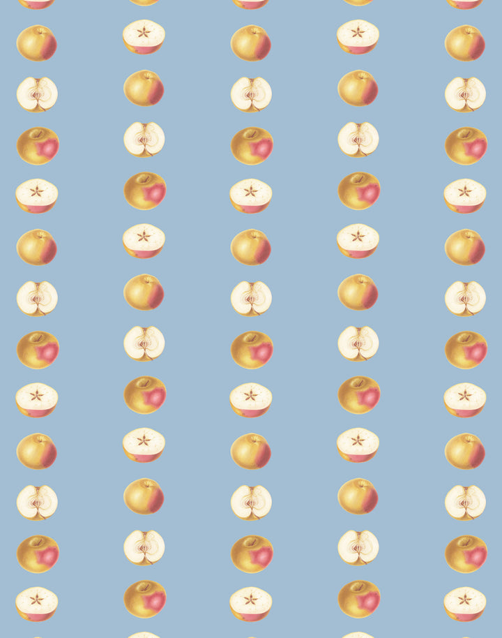 Apple of My Eye, Pale Blue