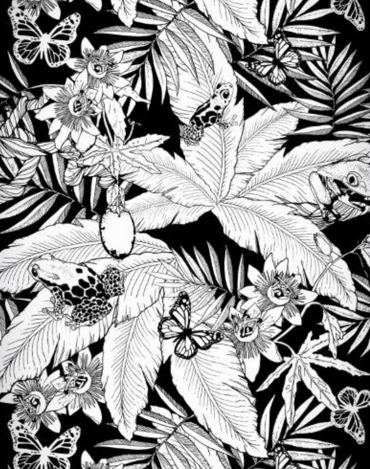 Monochrome Jungle