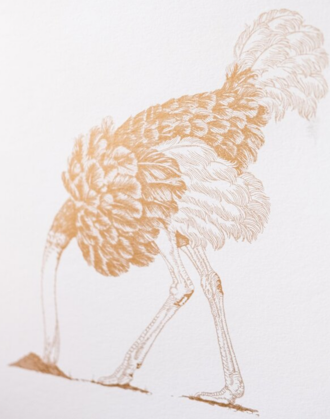 Ostrich Large, Gold Leaf on Bone