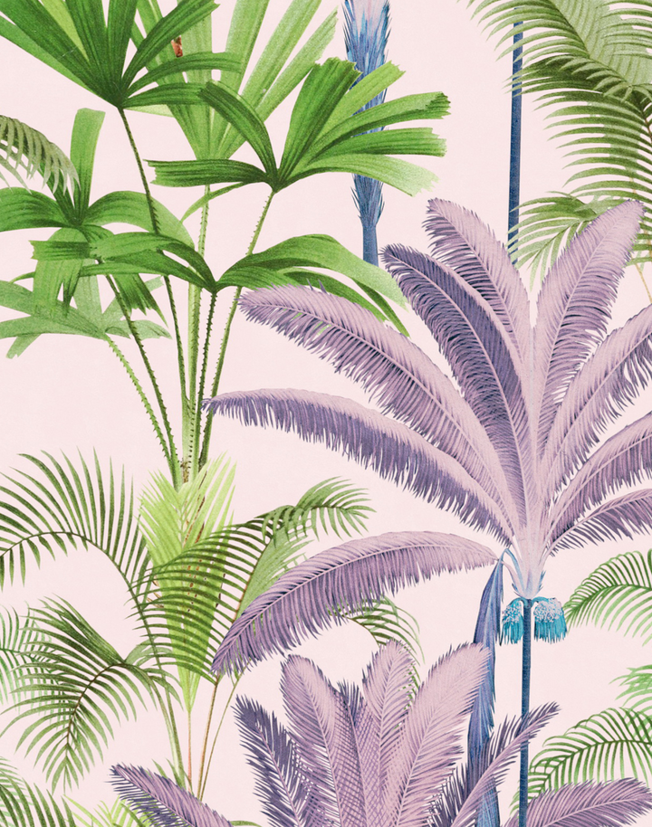 Palmeras