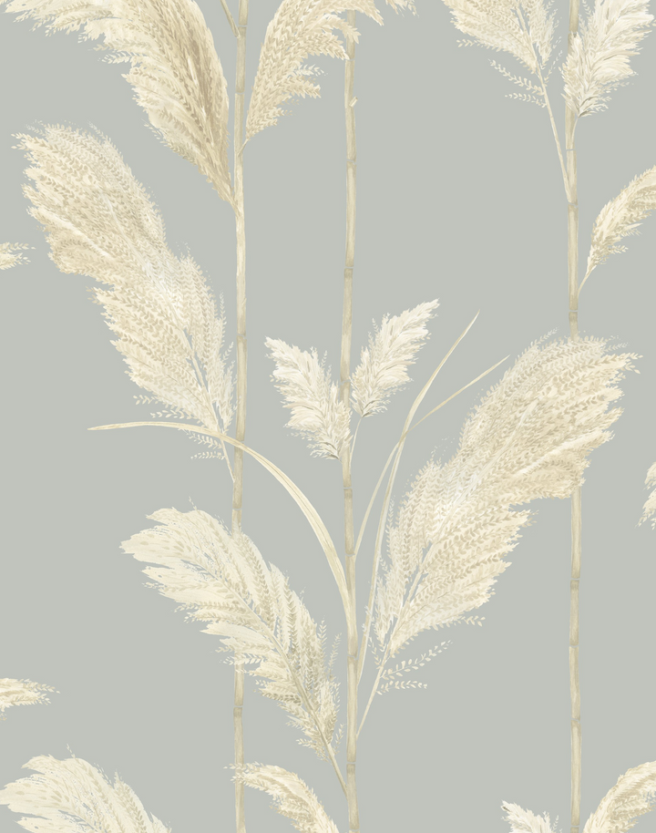 PAMPAS GRASS CORNFLOWER BLUE